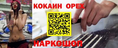 стаф Кандалакша