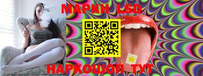 стаф Кандалакша