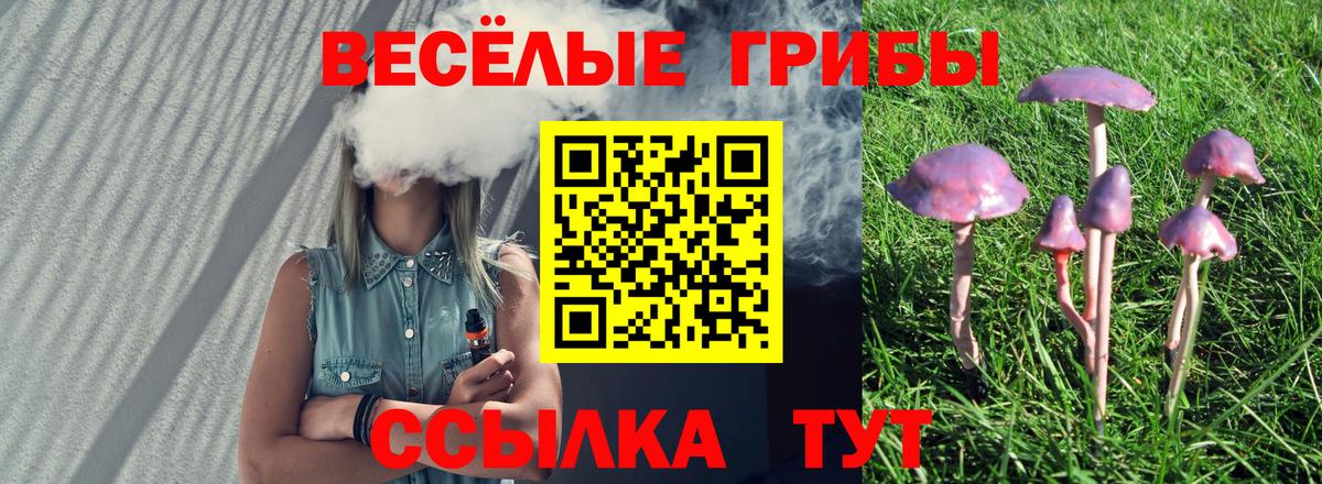 Псилоцибиновые грибы ЛСД  Вход с VPN  Магадан 